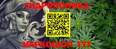 индика Чебаркуль