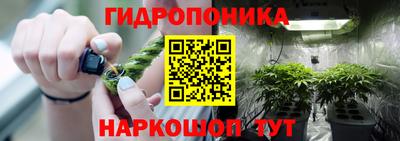 PSILOCYBIN Чебоксары