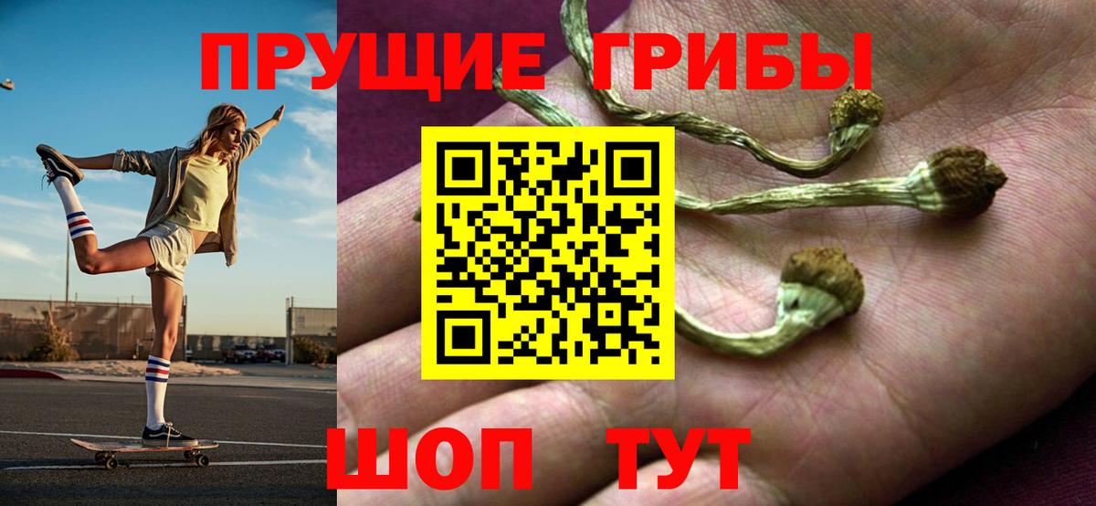 Омск  Псилоцибиновые грибы Magic Shrooms  Вход с VPN 